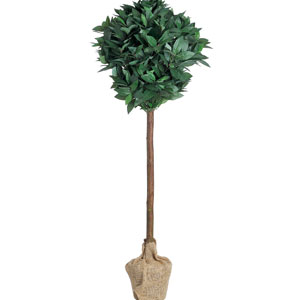topiary-tree-thumb