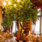 XL Floor Standing Ficus Tree