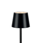 Cordless Table Lamp