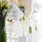 White Acrylic Plinths (Pair)