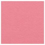 Pink Entranceway Carpet