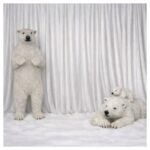 Winter Wonderland Polar Bear Backdrop #2